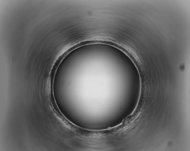 X0000100210982200806061342