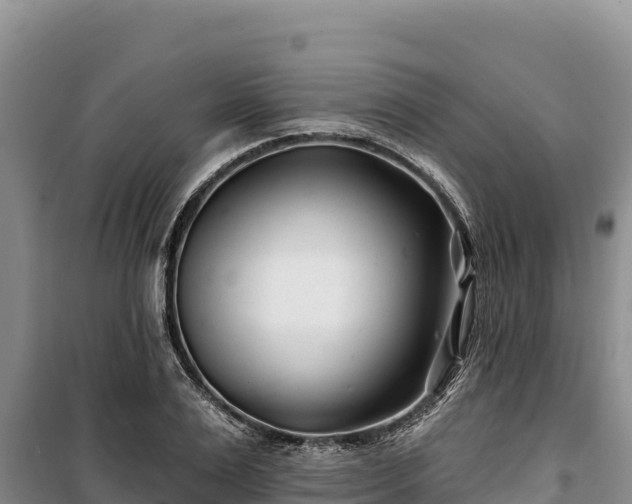 X0000100210983200806061342