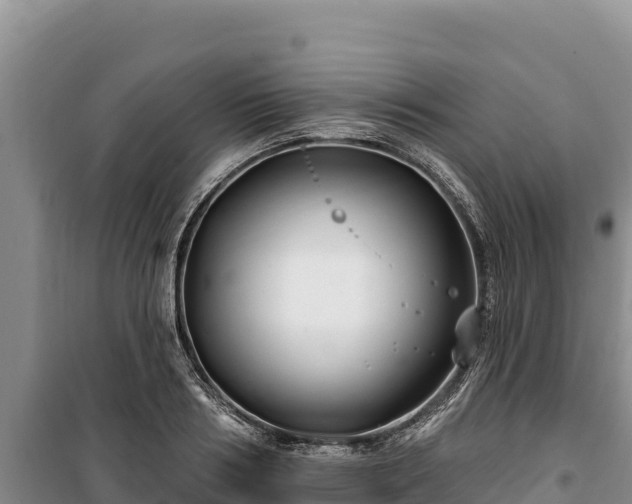 X0000100210986200806061342