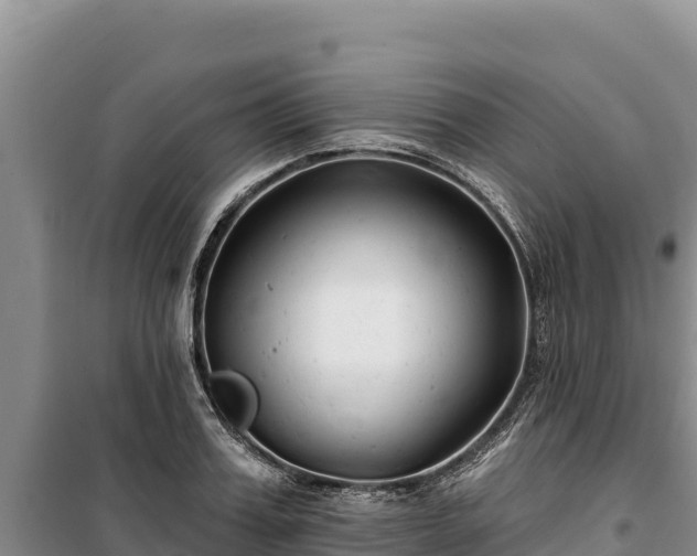 X0000100210987200806061342