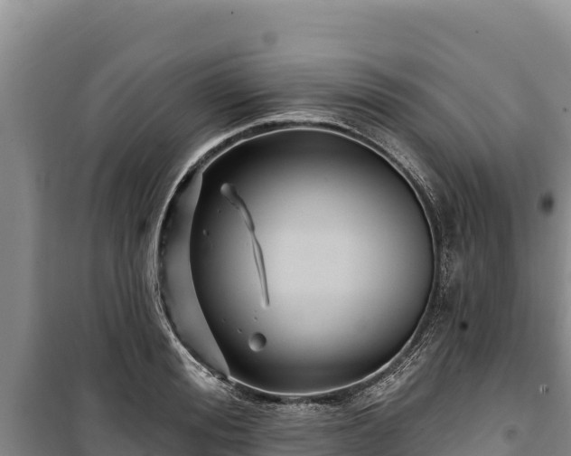 X0000100210988200806061342