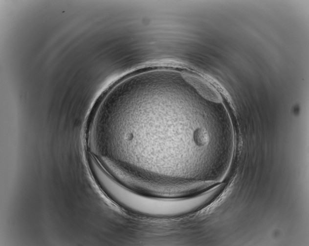 X0000100210989200806061342