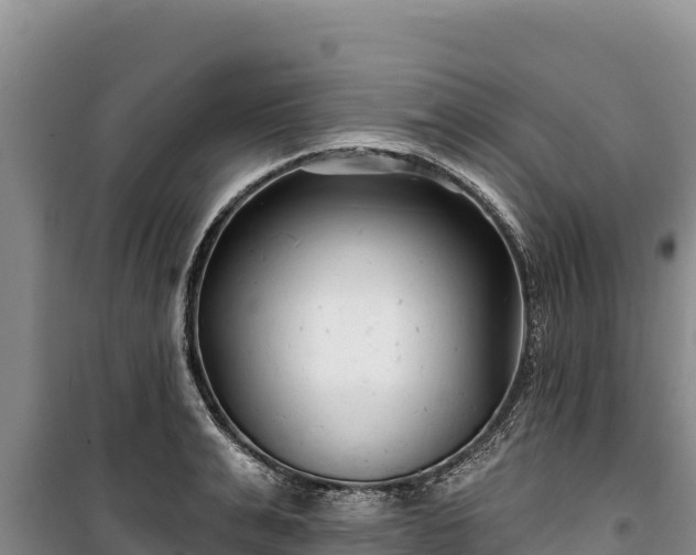 X0000100210991200806061342