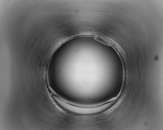 X0000100210993200806061342