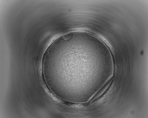 X0000100210994200806061342