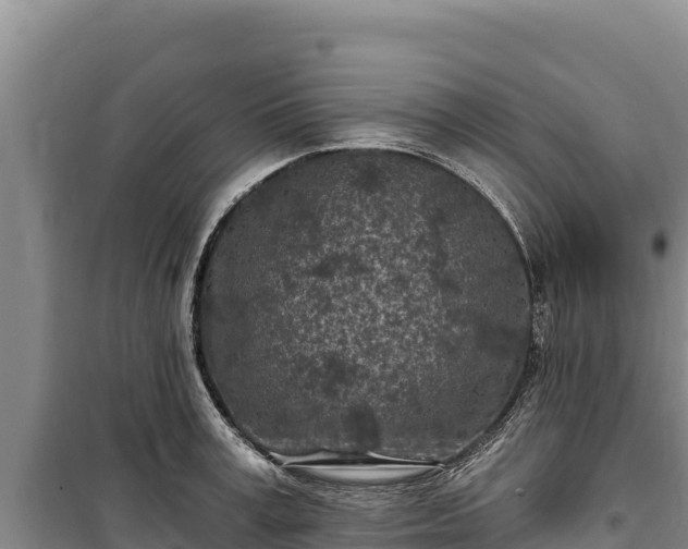 X0000100210995200806061342