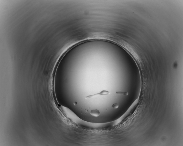 X0000100210996200806061342