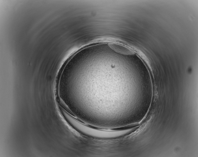 X0000100210997200806061342