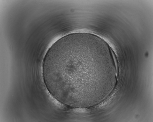 X0000100210998200806061342