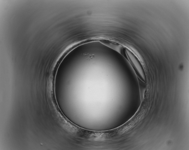 X0000100211000200806061342