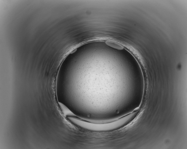 X0000100211001200806061342