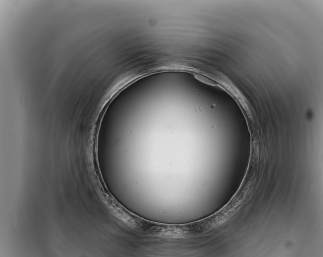 X0000100211002200806061342