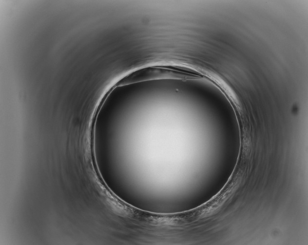 X0000100211004200806061342