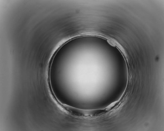 X0000100211005200806061342