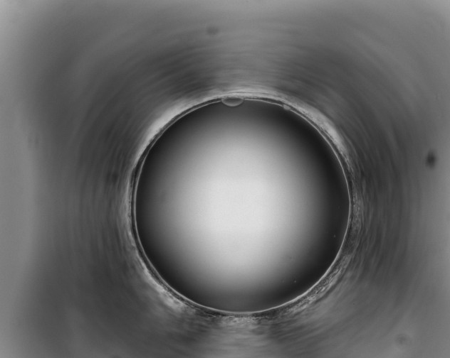 X0000100211006200806061342