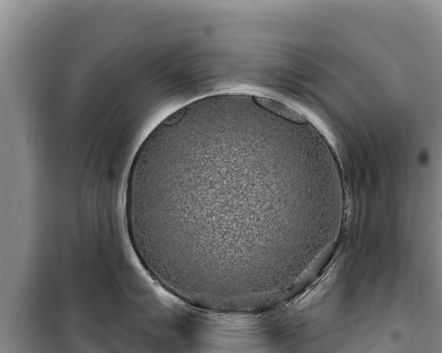 X0000100211007200806061342