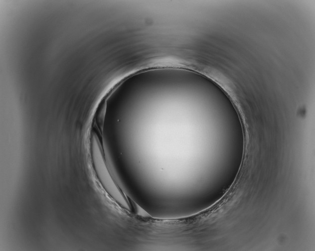 X0000100211008200806061342