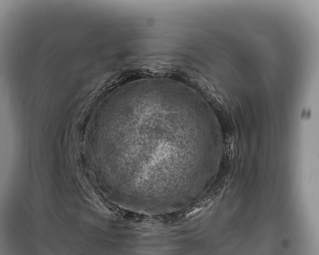 X0000100211009200806061341