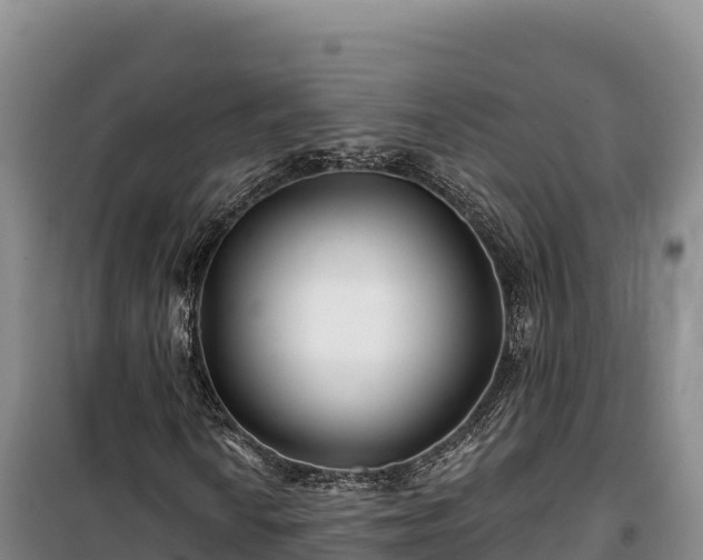 X0000100211010200806061341