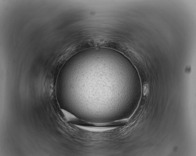 X0000100211011200806061341