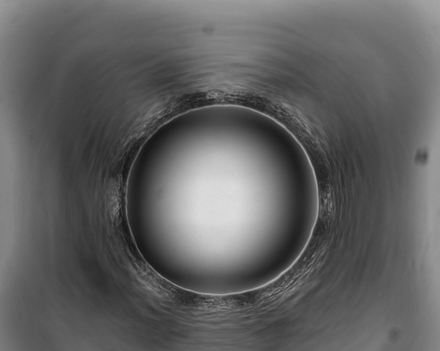 X0000100211012200806061341