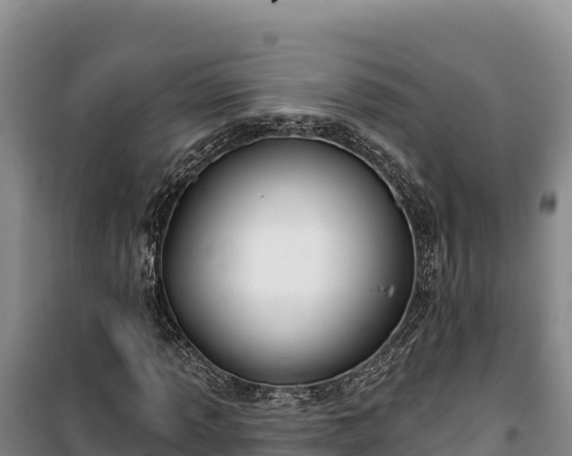 X0000100211013200806061341