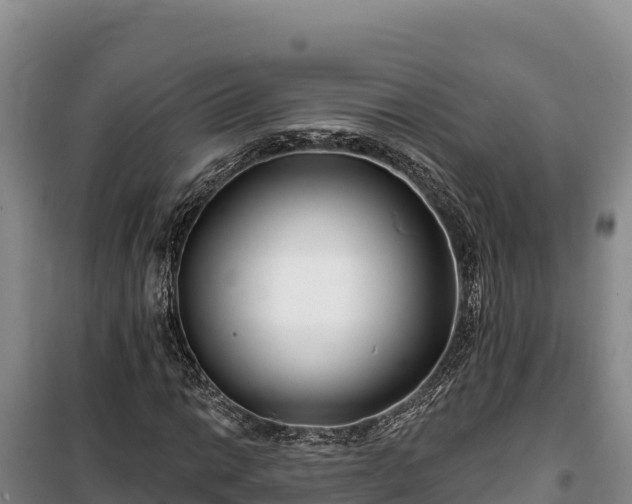 X0000100211014200806061341