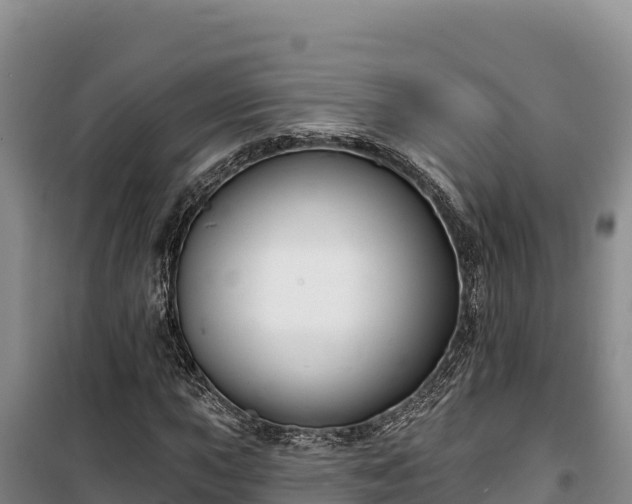 X0000100211015200806061341