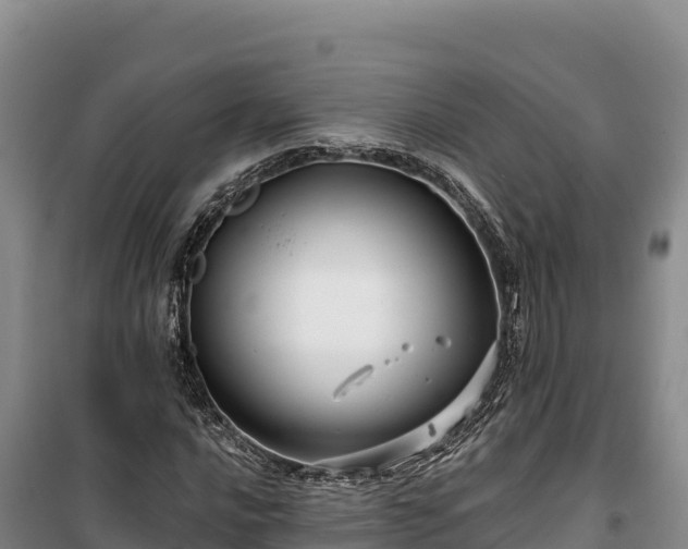 X0000100211016200806061341