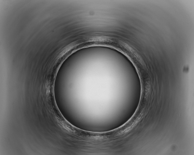 X0000100211017200806061341