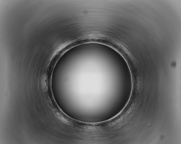 X0000100211018200806061341