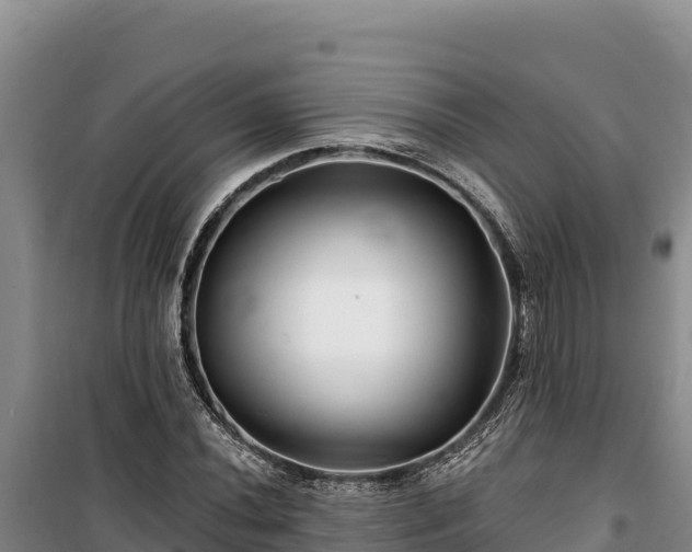 X0000100211020200806061341