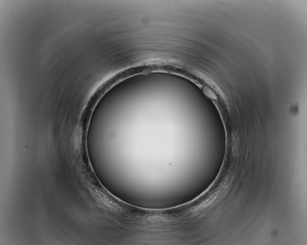 X0000100211021200806061341