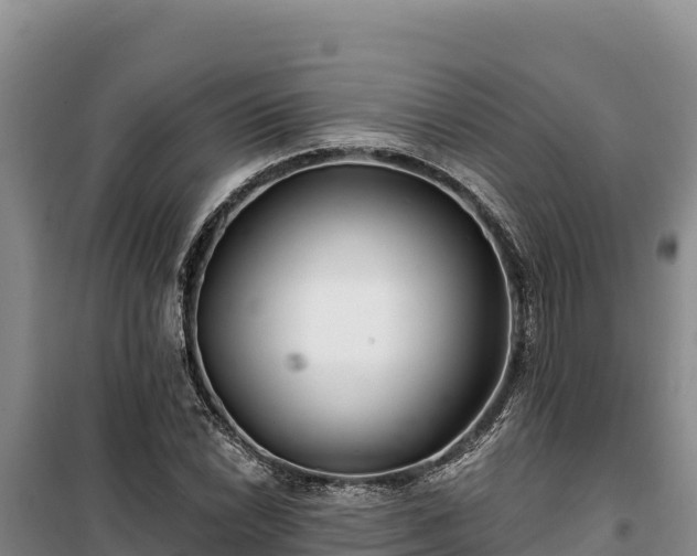 X0000100211022200806061341