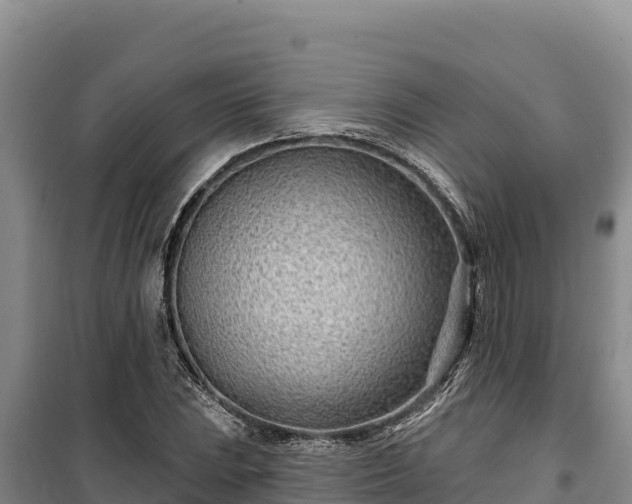 X0000100211023200806061341