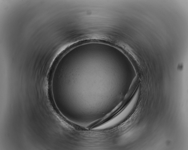 X0000100211024200806061341