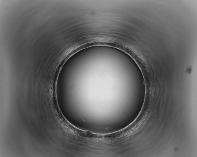 X0000100211025200806061341