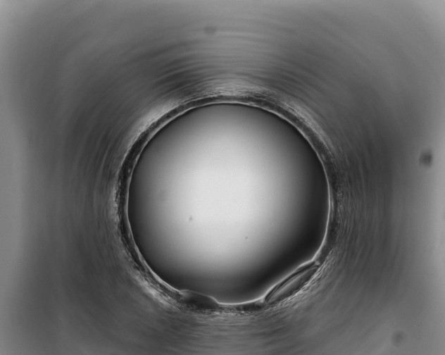 X0000100211026200806061341