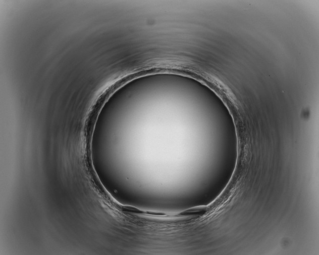 X0000100211027200806061341