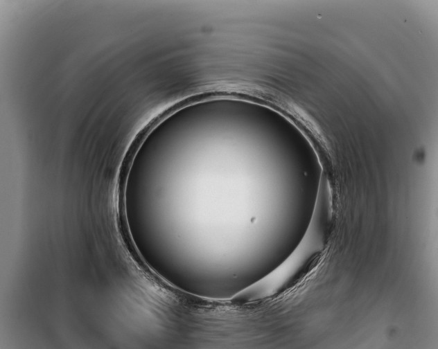 X0000100211028200806061341