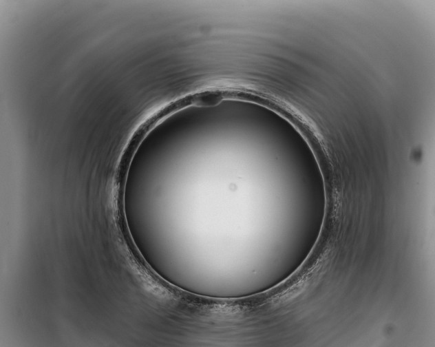 X0000100211029200806061341