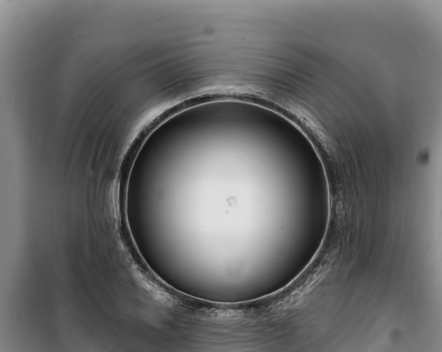 X0000100211030200806061341