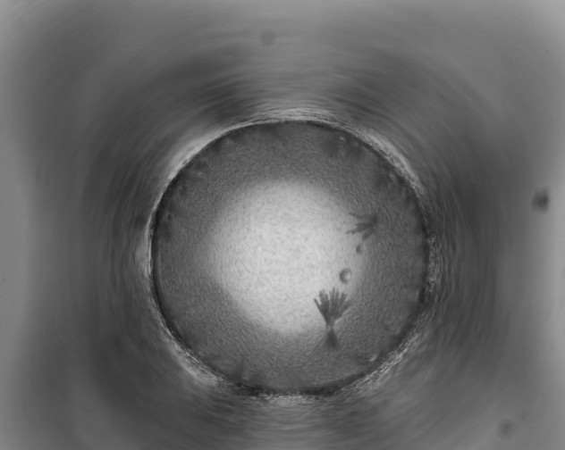 X0000100211031200806061341