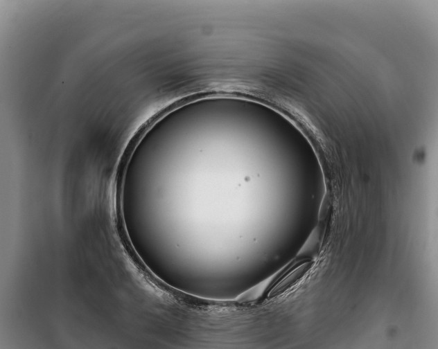 X0000100211032200806061341