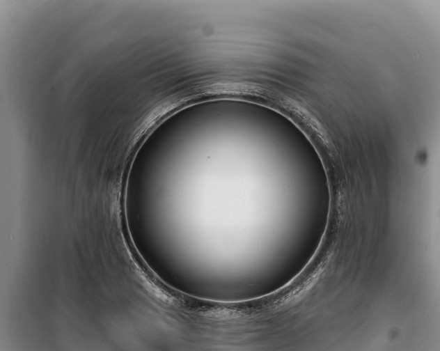 X0000100211033200806061341