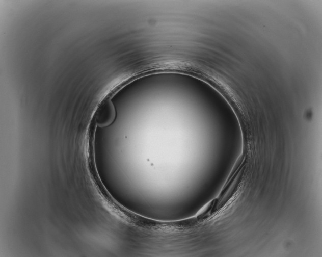 X0000100211034200806061341