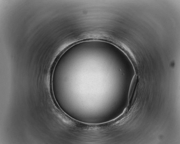 X0000100211035200806061341