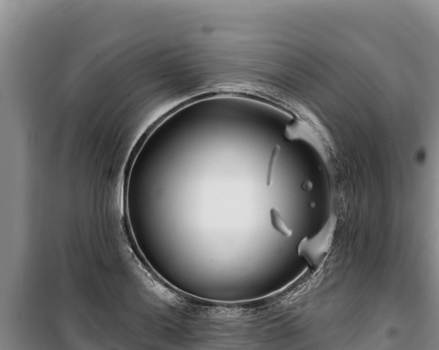 X0000100211036200806061341