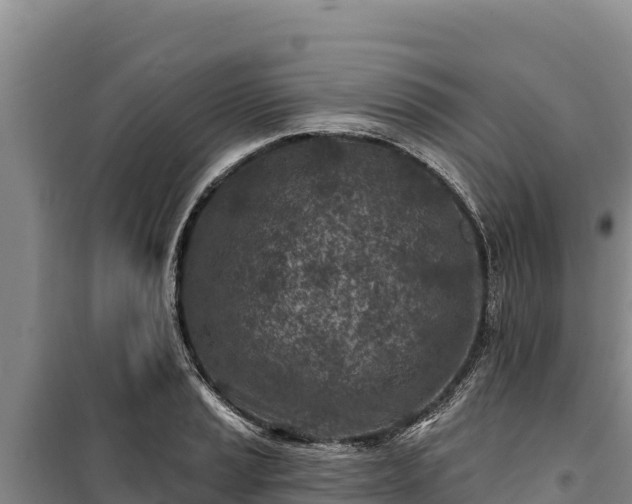 X0000100211037200806061341