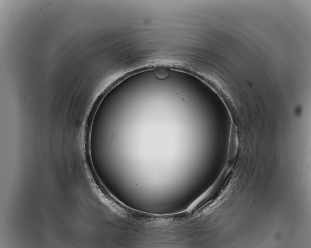 X0000100211038200806061341